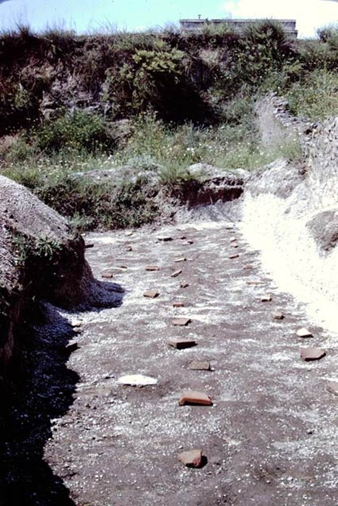 ll.5 Pompeii, 1968. Looking north towards north-east side of site, and the unexcavated mound. According to Wilhelmina, Prof. de Franciscis had told her that before her next visit, the retaining wall of the vineyard would be moved back but the original lapilli would be left so that it would be ready for them to excavate undisturbed roots when they returned.
Photo by Stanley A. Jashemski.
Source: The Wilhelmina and Stanley A. Jashemski archive in the University of Maryland Library, Special Collections (See collection page) and made available under the Creative Commons Attribution-Non Commercial License v.4. See Licence and use details.
J68f2061