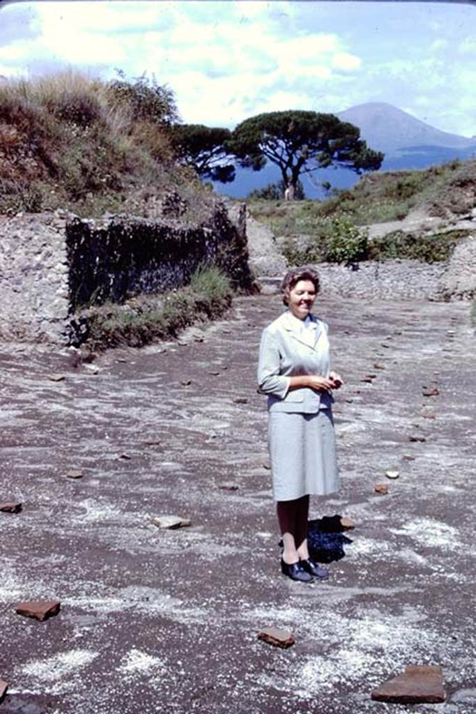 ll.5 Pompeii, 1968. Wilhelmina in “her” vineyard. Photo by Stanley A. Jashemski.
Source: The Wilhelmina and Stanley A. Jashemski archive in the University of Maryland Library, Special Collections (See collection page) and made available under the Creative Commons Attribution-Non Commercial License v.4. See Licence and use details.
J68f2036