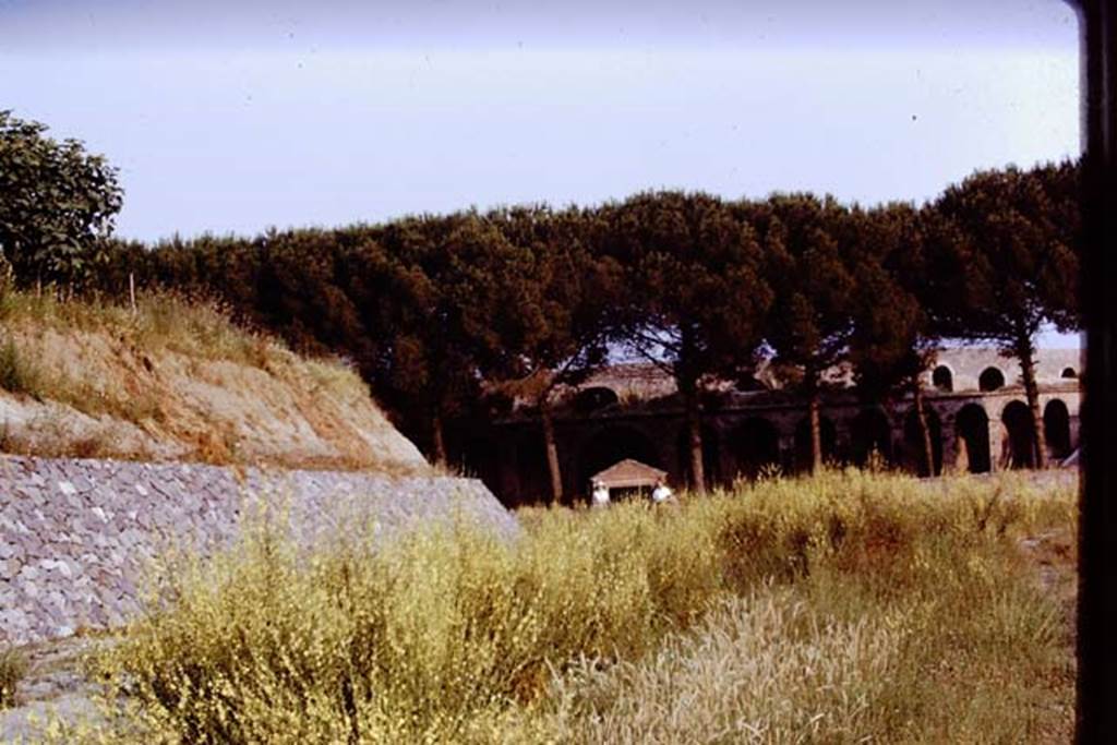 II.5 Pompeii. 1970. Looking south. Photo by Stanley A. Jashemski.
Source: The Wilhelmina and Stanley A. Jashemski archive in the University of Maryland Library, Special Collections (See collection page) and made available under the Creative Commons Attribution-Non Commercial License v.4. See Licence and use details.
J70f0462