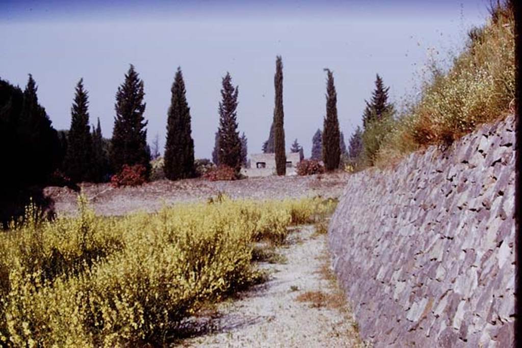 II.5 Pompeii. 1970. Looking west along line of new retaining wall on south side of hill. Photo by Stanley A. Jashemski.
Source: The Wilhelmina and Stanley A. Jashemski archive in the University of Maryland Library, Special Collections (See collection page) and made available under the Creative Commons Attribution-Non Commercial License v.4. See Licence and use details.
J70f0465
