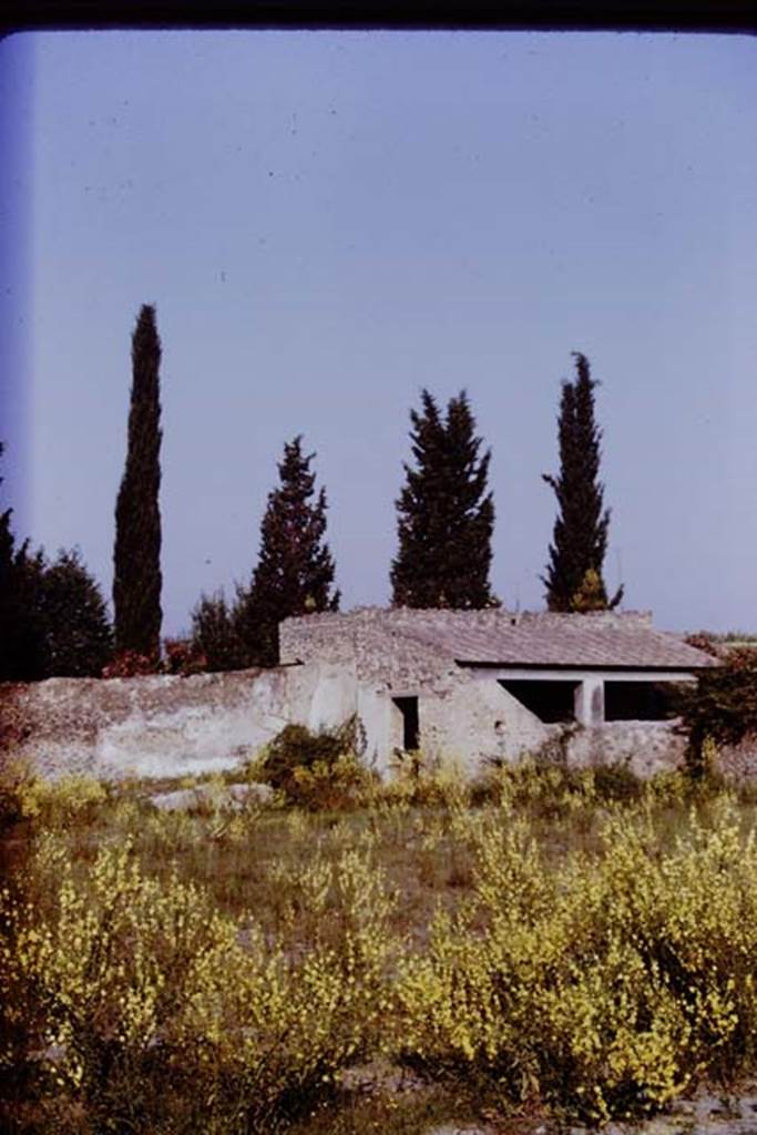 II.5 Pompeii. 1970. Looking north-west across site towards wine-making room. Photo by Stanley A. Jashemski.
Source: The Wilhelmina and Stanley A. Jashemski archive in the University of Maryland Library, Special Collections (See collection page) and made available under the Creative Commons Attribution-Non Commercial License v.4. See Licence and use details.
J70f0466