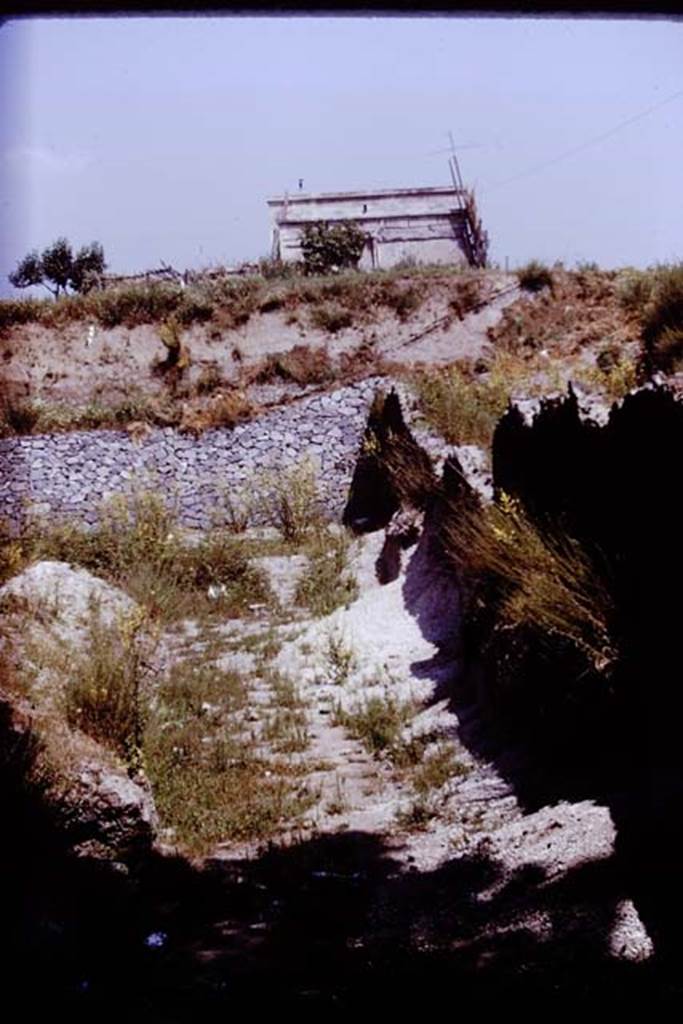 II.5 Pompeii. 1970. Looking north in north-east corner of site, where new retaining wall met the wall on the eastern boundary. Photo by Stanley A. Jashemski.
Source: The Wilhelmina and Stanley A. Jashemski archive in the University of Maryland Library, Special Collections (See collection page) and made available under the Creative Commons Attribution-Non Commercial License v.4. See Licence and use details.
J70f0467