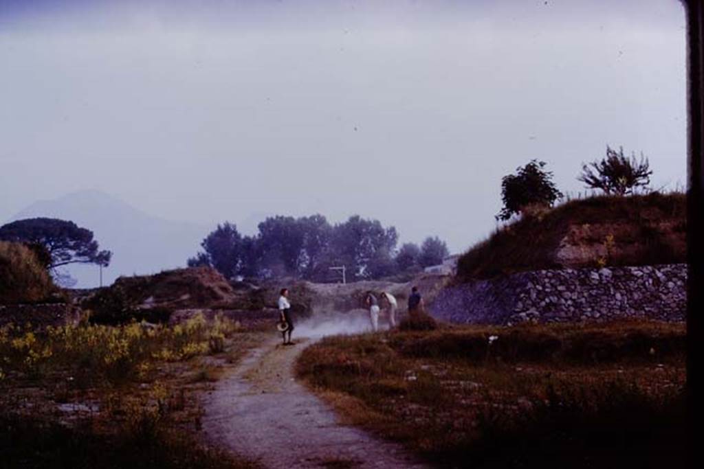 II.5 Pompeii. 1970. Looking north. Photo by Stanley A. Jashemski.
Source: The Wilhelmina and Stanley A. Jashemski archive in the University of Maryland Library, Special Collections (See collection page) and made available under the Creative Commons Attribution-Non Commercial License v.4. See Licence and use details.
J70f0468