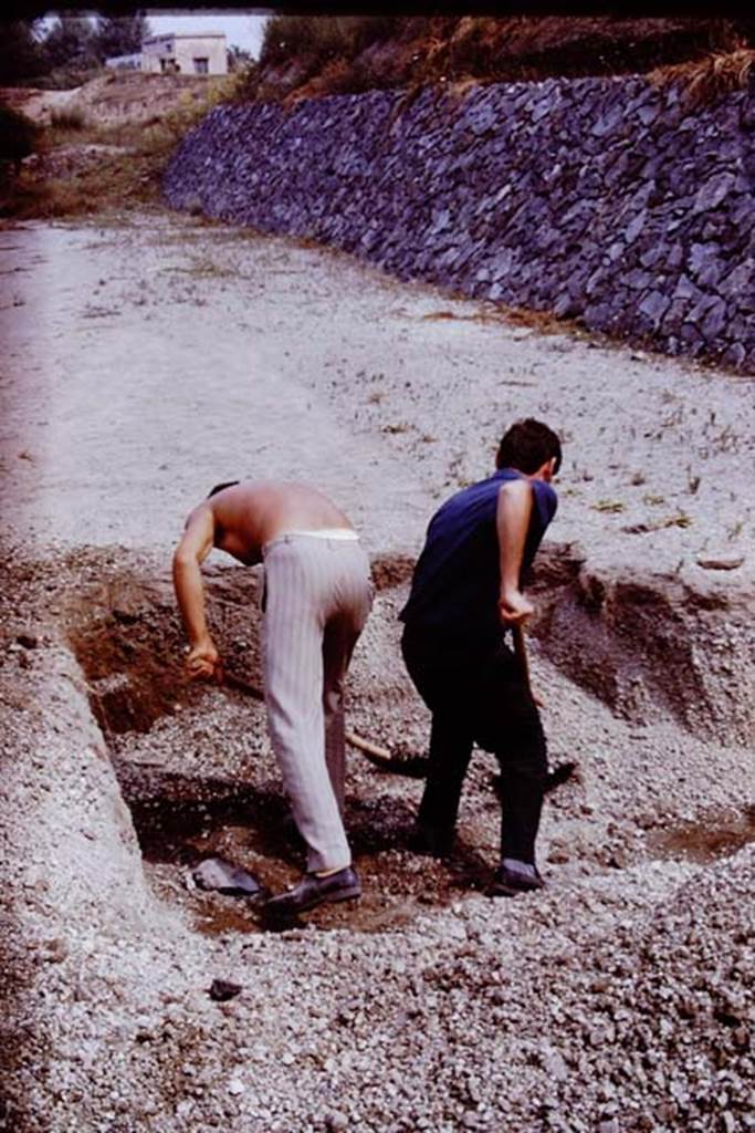 II.5 Pompeii. 1970. Digging through the unexcavated lapilli. Photo by Stanley A. Jashemski.
Source: The Wilhelmina and Stanley A. Jashemski archive in the University of Maryland Library, Special Collections (See collection page) and made available under the Creative Commons Attribution-Non Commercial License v.4. See Licence and use details.
J70f0469