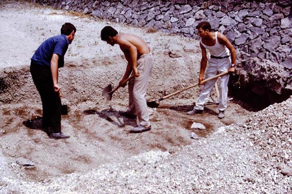 II.5 Pompeii. 1970. Digging down to the original level of 79AD. Photo by Stanley A. Jashemski.
Source: The Wilhelmina and Stanley A. Jashemski archive in the University of Maryland Library, Special Collections (See collection page) and made available under the Creative Commons Attribution-Non Commercial License v.4. See Licence and use details.
J70f0471