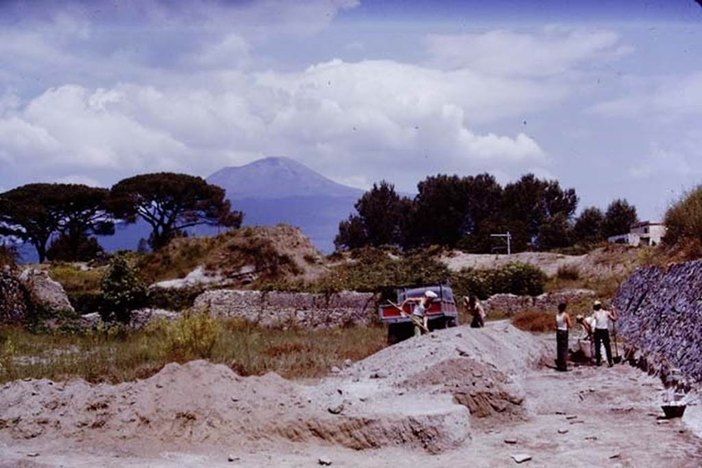 II.5 Pompeii. 1970. Looking north. Photo by Stanley A. Jashemski.
Source: The Wilhelmina and Stanley A. Jashemski archive in the University of Maryland Library, Special Collections (See collection page) and made available under the Creative Commons Attribution-Non Commercial License v.4. See Licence and use details.
J70f0480