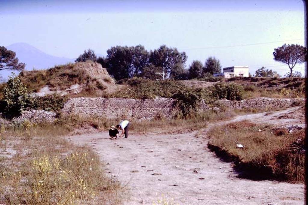 II.5 Pompeii. 1970. Looking north. Photo by Stanley A. Jashemski.
Source: The Wilhelmina and Stanley A. Jashemski archive in the University of Maryland Library, Special Collections (See collection page) and made available under the Creative Commons Attribution-Non Commercial License v.4. See Licence and use details.
J70f0537