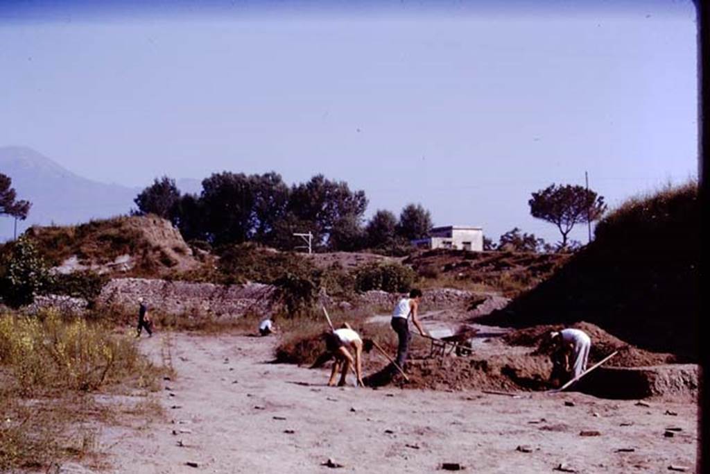 II.5 Pompeii. 1970. Looking north. Photo by Stanley A. Jashemski.
Source: The Wilhelmina and Stanley A. Jashemski archive in the University of Maryland Library, Special Collections (See collection page) and made available under the Creative Commons Attribution-Non Commercial License v.4. See Licence and use details.
J70f0539