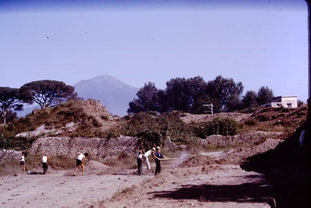 II.5 Pompeii. 1970. North side of site. Photo by Stanley A. Jashemski.
Source: The Wilhelmina and Stanley A. Jashemski archive in the University of Maryland Library, Special Collections (See collection page) and made available under the Creative Commons Attribution-Non Commercial License v.4. See Licence and use details.
J70f0541