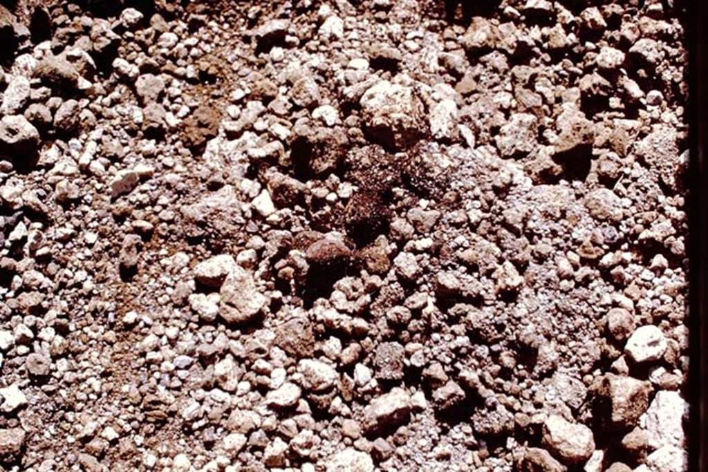 II.5 Pompeii. 1970. Found near the east wall was evidence of carbonized material, the lapilli was then carefully removed by hand, and two oval objects were discovered almost at the original ground level. Photo by Stanley A. Jashemski.
Source: The Wilhelmina and Stanley A. Jashemski archive in the University of Maryland Library, Special Collections (See collection page) and made available under the Creative Commons Attribution-Non Commercial License v.4. See Licence and use details.
J70f0548