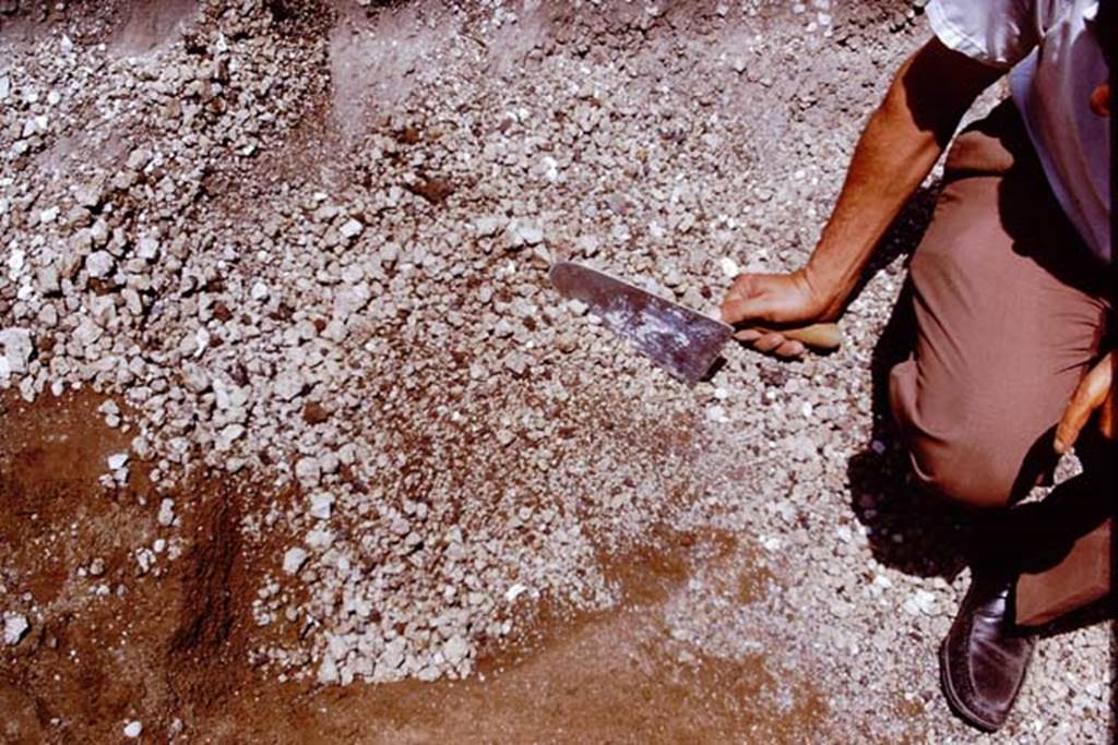 II.5 Pompeii. 1970. Lapilli and original soil level being gently moved by hand. Photo by Stanley A. Jashemski.
Source: The Wilhelmina and Stanley A. Jashemski archive in the University of Maryland Library, Special Collections (See collection page) and made available under the Creative Commons Attribution-Non Commercial License v.4. See Licence and use details.
J70f0551