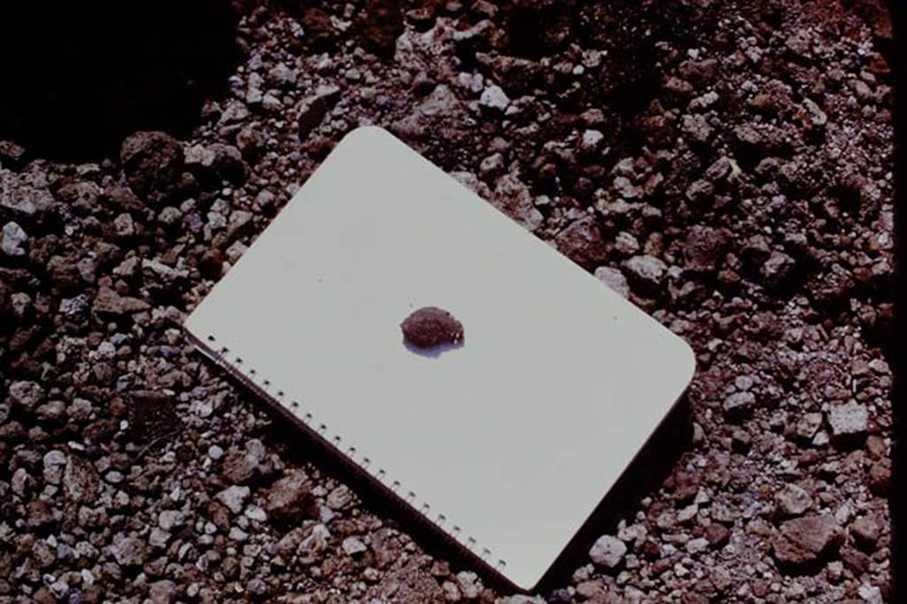 II.5 Pompeii. 1970. According to Wilhelmina, the two objects were photographed in situ, and then gently removed for further study. One disintegrated almost immediately upon being exposed to air. The other was an olive, the flesh of the fruit in part still visible on the seed, when it was examined under a microscope. Photo by Stanley A. Jashemski.
Source: The Wilhelmina and Stanley A. Jashemski archive in the University of Maryland Library, Special Collections (See collection page) and made available under the Creative Commons Attribution-Non Commercial License v.4. See Licence and use details.
J70f0549