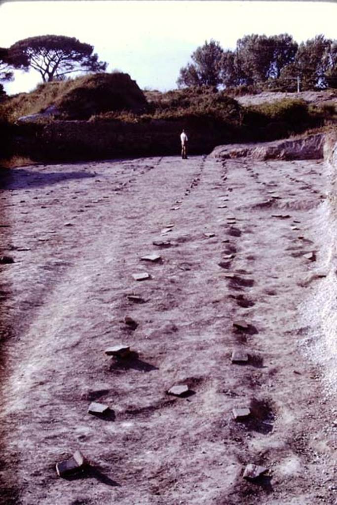 II.5 Pompeii. 1970. Looking north. Photo by Stanley A. Jashemski.
Source: The Wilhelmina and Stanley A. Jashemski archive in the University of Maryland Library, Special Collections (See collection page) and made available under the Creative Commons Attribution-Non Commercial License v.4. See Licence and use details.
J70f0592