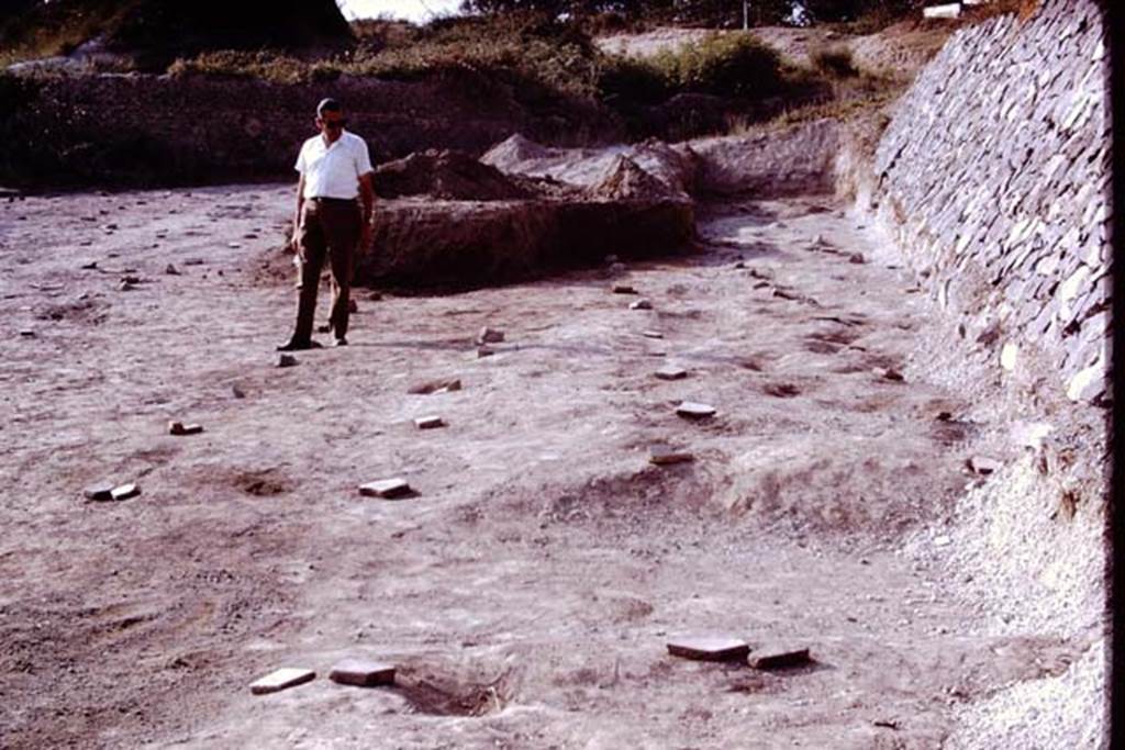 II.5 Pompeii. 1970. Sig. Sicignano studying the rows. Photo by Stanley A. Jashemski.
Source: The Wilhelmina and Stanley A. Jashemski archive in the University of Maryland Library, Special Collections (See collection page) and made available under the Creative Commons Attribution-Non Commercial License v.4. See Licence and use details.
J70f0564