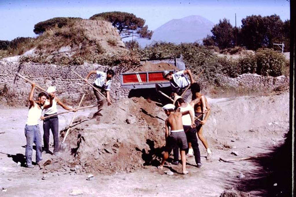 II.5 Pompeii. 1970. Removing the soil at northern end of site. Photo by Stanley A. Jashemski.
Source: The Wilhelmina and Stanley A. Jashemski archive in the University of Maryland Library, Special Collections (See collection page) and made available under the Creative Commons Attribution-Non Commercial License v.4. See Licence and use details.
J70f0580