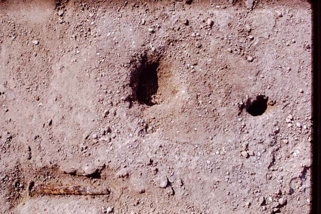 II.5 Pompeii. 1970. Root cavity with its stake hole, and a large nail found in the soil. Photo by Stanley A. Jashemski.
Source: The Wilhelmina and Stanley A. Jashemski archive in the University of Maryland Library, Special Collections (See collection page) and made available under the Creative Commons Attribution-Non Commercial License v.4. See Licence and use details.
J70f0611
