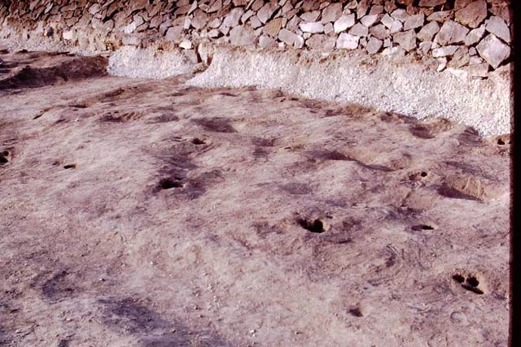 II.5 Pompeii. 1970. Original contours, root cavities, and remains of lapilli under the new retaining wall. Photo by Stanley A. Jashemski.
Source: The Wilhelmina and Stanley A. Jashemski archive in the University of Maryland Library, Special Collections (See collection page) and made available under the Creative Commons Attribution-Non Commercial License v.4. See Licence and use details.
J70f0617