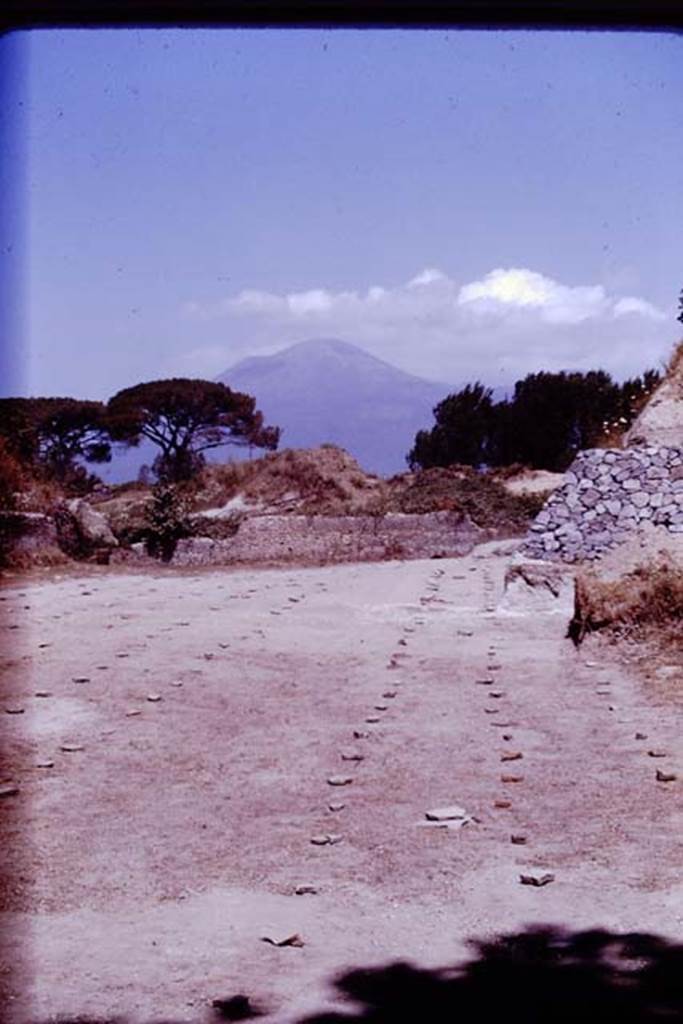 II.5 Pompeii. 1970. Looking north across completed vineyard. Photo by Stanley A. Jashemski.
Source: The Wilhelmina and Stanley A. Jashemski archive in the University of Maryland Library, Special Collections (See collection page) and made available under the Creative Commons Attribution-Non Commercial License v.4. See Licence and use details.
J70f0733