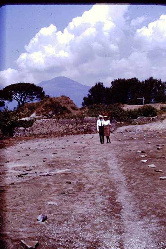 II.5 Pompeii. 1970. Wilhelmina and Stanley stand on the north-south path. Photo by Stanley A. Jashemski.
Source: The Wilhelmina and Stanley A. Jashemski archive in the University of Maryland Library, Special Collections (See collection page) and made available under the Creative Commons Attribution-Non Commercial License v.4. See Licence and use details.
J70f0755