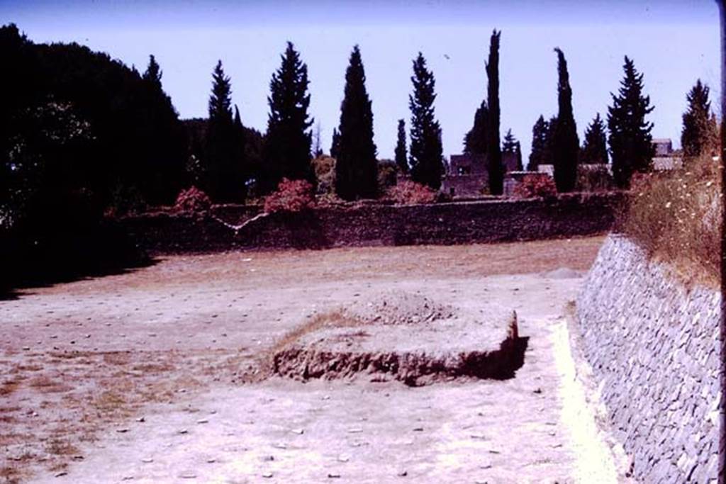 II.5 Pompeii. 1970. Looking west across completed vineyard. Photo by Stanley A. Jashemski.
According to Wilhelmina, as it was now obvious that the entire area had been planted as a vineyard, and as time was running out for the excavation, two areas of soil were not removed in the south-east quarter. However to make certain that the entire area was planted, excavations were continued around the soil, and it was discovered that the entire area was surrounded by rows of root cavities.
Source: The Wilhelmina and Stanley A. Jashemski archive in the University of Maryland Library, Special Collections (See collection page) and made available under the Creative Commons Attribution-Non Commercial License v.4. See Licence and use details.
J70f0735