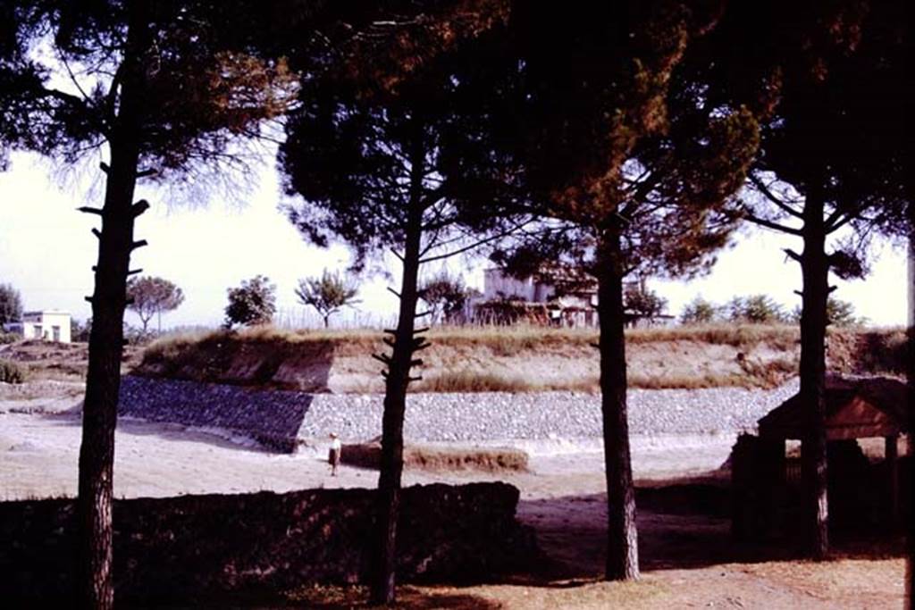 II.5 Pompeii. 1970. Only Wilhelmina in her vineyard, looking north-east. At the end of this third season on this site, a total of 2001 vine-root cavities and 57 tree-root cavities had been found. Photo by Stanley A. Jashemski.
Source: The Wilhelmina and Stanley A. Jashemski archive in the University of Maryland Library, Special Collections (See collection page) and made available under the Creative Commons Attribution-Non Commercial License v.4. See Licence and use details.
J70f0725