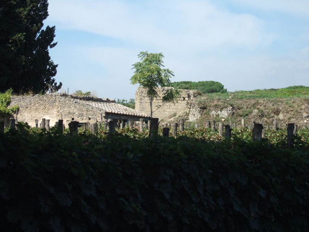 II.5.5 Pompeii. September 2005. Looking north-west across II.5 towards II.5.1.