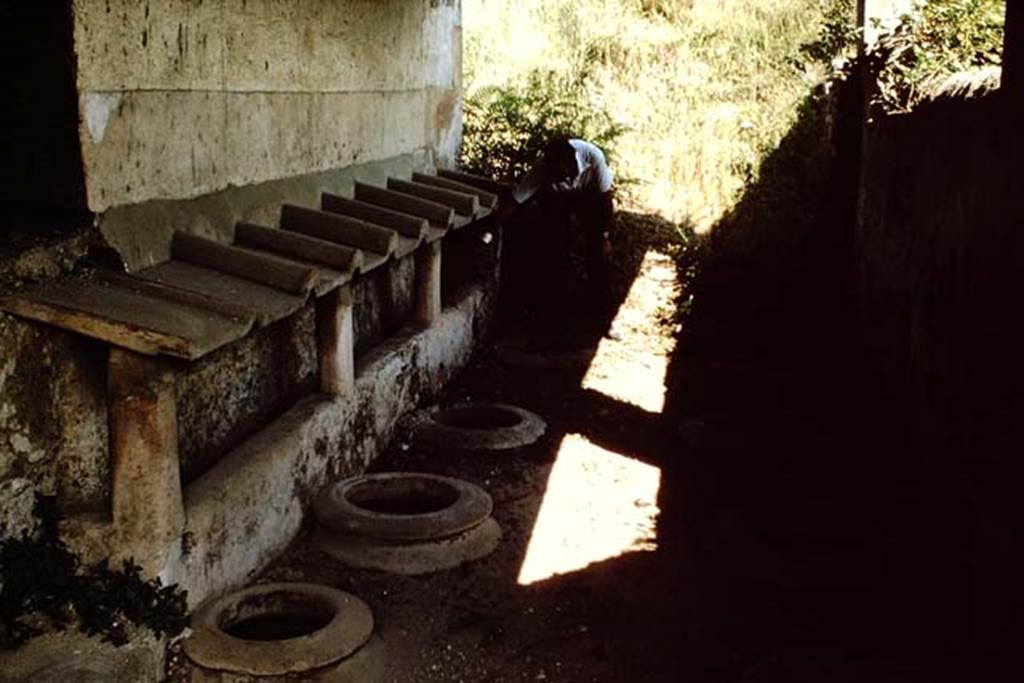 II.5.5. Pompeii. 1964. Looking north in building where wine was made. Photo by Stanley A. Jashemski.
Source: The Wilhelmina and Stanley A. Jashemski archive in the University of Maryland Library, Special Collections (See collection page) and made available under the Creative Commons Attribution-Non Commercial License v.4. See Licence and use details.
J64f2008