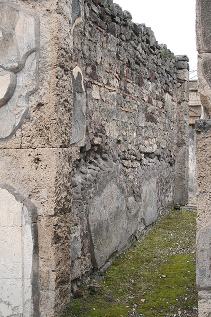 V.1.7 Pompeii. c.2005-7. Room 10, west wall of corridor. Photo by Thomas Staub.
Photo courtesy of Swedish Pompeii Project. 
