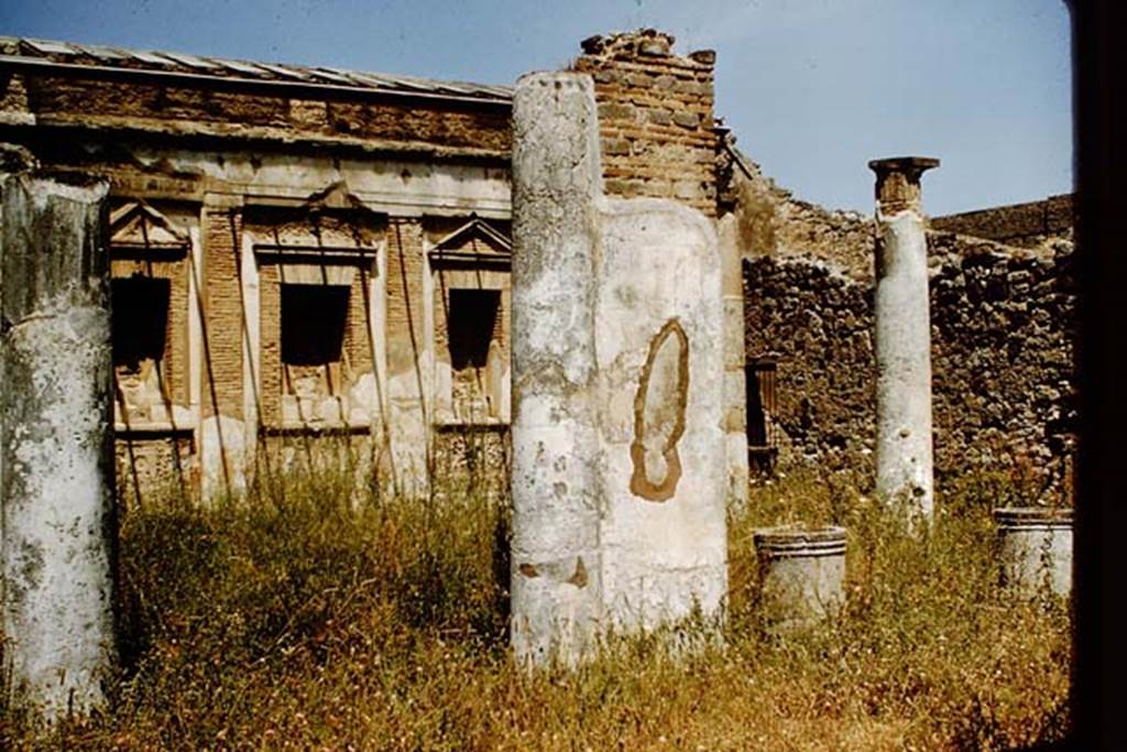 V.1.7 Pompeii. 1959. Room 17, peristyle, looking north. Photo by Stanley A. Jashemski.
Source: The Wilhelmina and Stanley A. Jashemski archive in the University of Maryland Library, Special Collections (See collection page) and made available under the Creative Commons Attribution-Non Commercial License v.4. See Licence and use details.
J59f0432
