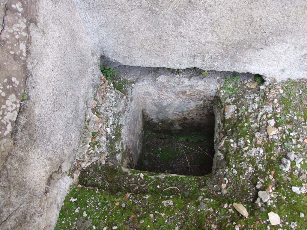 V.1.7 Pompeii. March 2009. Room 17, peristyle. Sump inside water feature.