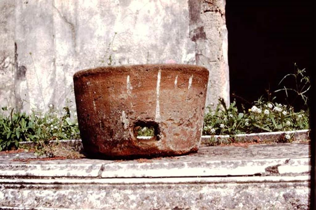 V.1.7 Pompeii. 1984. Detail of terracotta pot, on south end of impluvium. Source: The Wilhelmina and Stanley A. Jashemski archive in the University of Maryland Library, Special Collections (See collection page) and made available under the Creative Commons Attribution-Non Commercial License v.4. See Licence and use details.
J84f0029 
