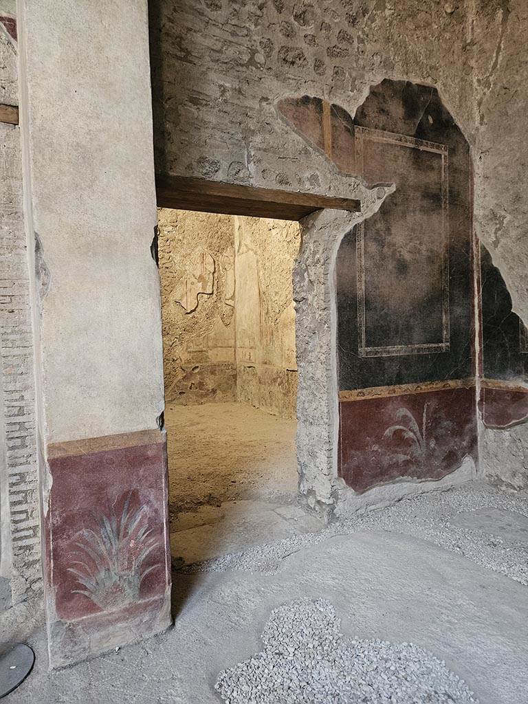 V.2.i Pompeii. November 2024.
Room 8, south wall with doorway into room 9. Photo courtesy of Annette Haug.
