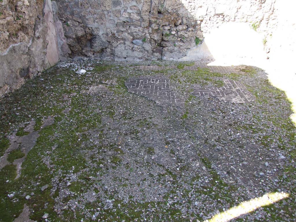 V.3.8 Pompeii. March 2009. Looking north across decorated floor in tablinum.