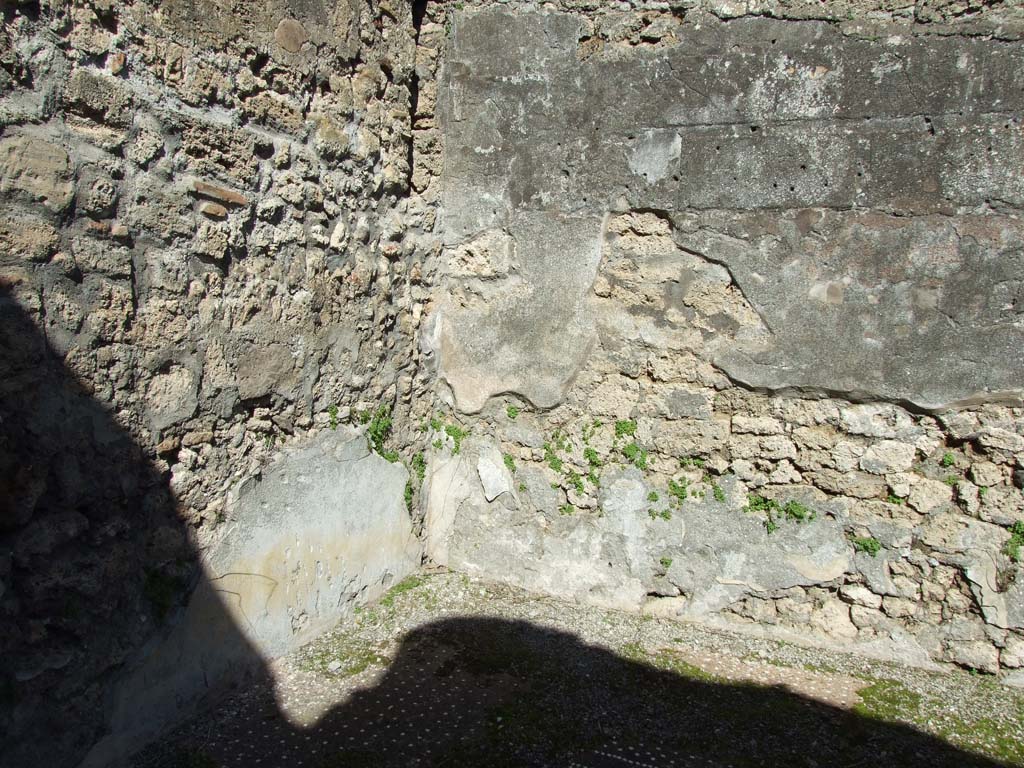 V.3.8 Pompeii. March 2009. Tablinum with two windows.
East wall and north-east corner, with remains of 1st-Style (first style) decoration and floor decoration.
