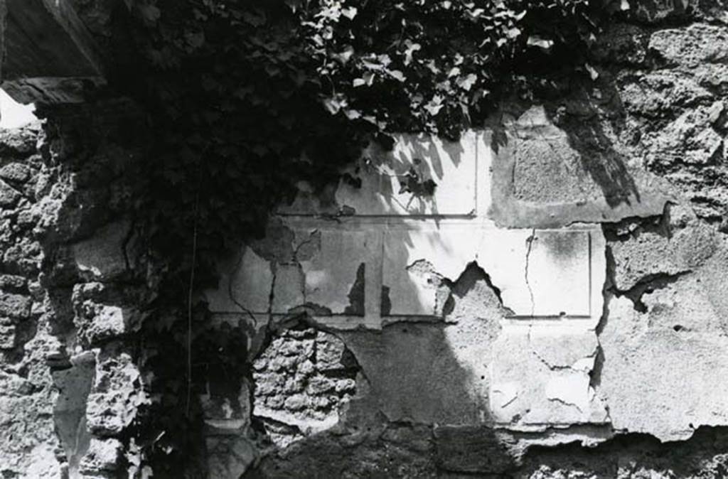 V.3.8 Pompeii. 1972. Tablinum, W wall, left S side. Photo courtesy of Anne Laidlaw.
American Academy in Rome, Photographic Archive. Laidlaw collection _P_72_24_27.