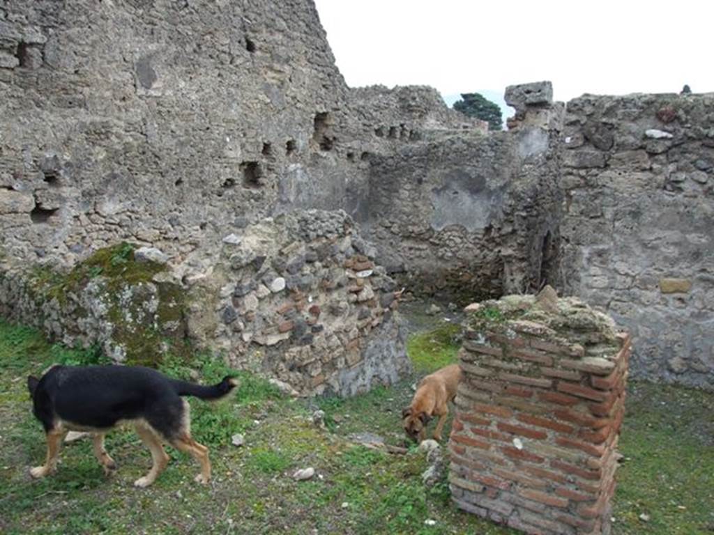 V.3.8 Pompeii. December 2007. Looking south from garden (a) towards remains of narrow room on the east side of the andron.