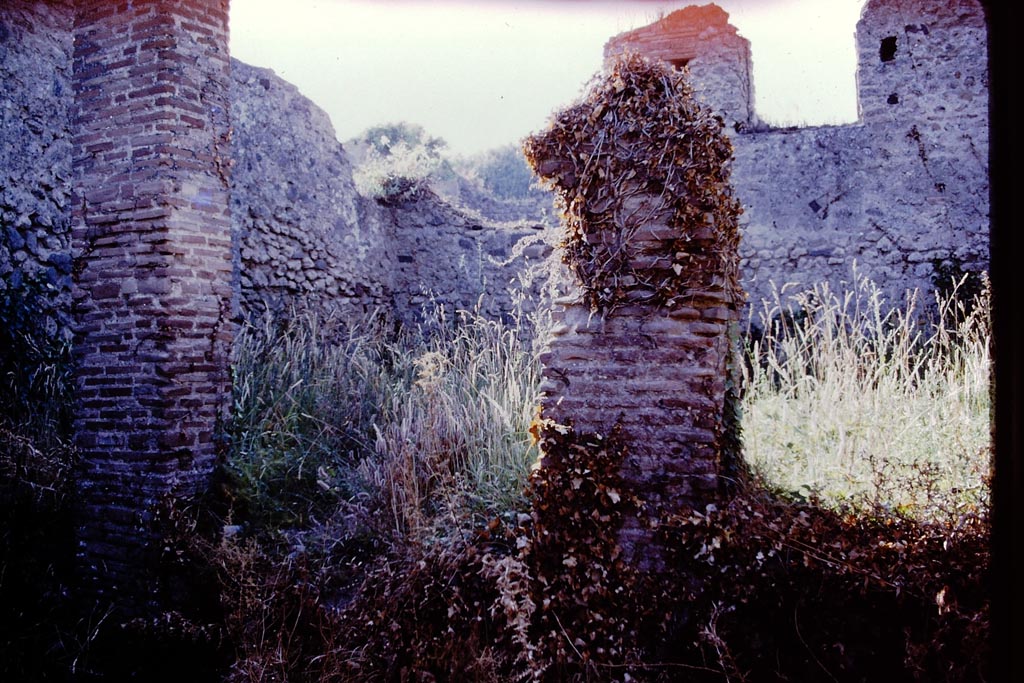 V.3.8 Pompeii, 1978. Looking north across garden (a). Photo by Stanley A. Jashemski.
Source: The Wilhelmina and Stanley A. Jashemski archive in the University of Maryland Library, Special Collections (See collection page) and made available under the Creative Commons Attribution-Non Commercial License v.4. See Licence and use details.
J78f0282