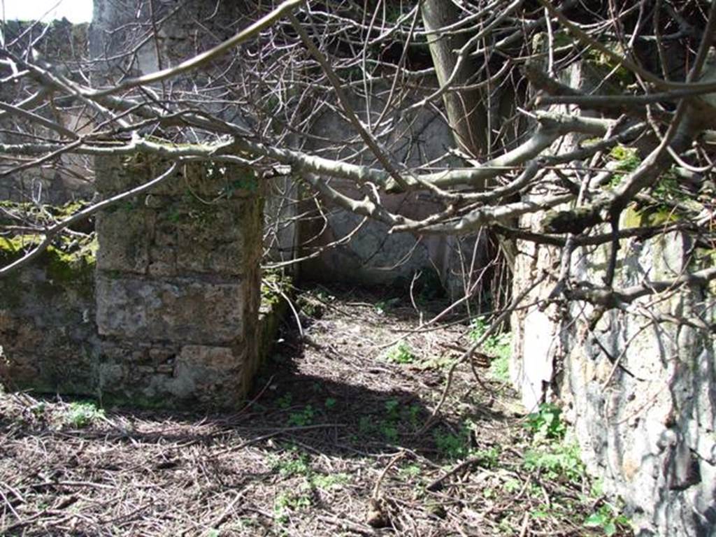 V.4.13 Pompeii. March 2009. Passage on west side of tablinum, between triclinium R, and garden.  
