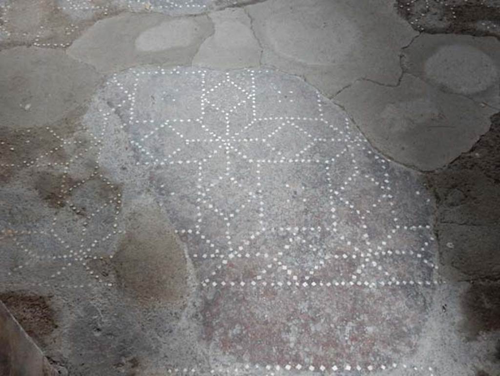 V.4.a Pompeii. May 2015. Detail of floor of cubiculum on south side of atrium.
Photo courtesy of Buzz Ferebee.
