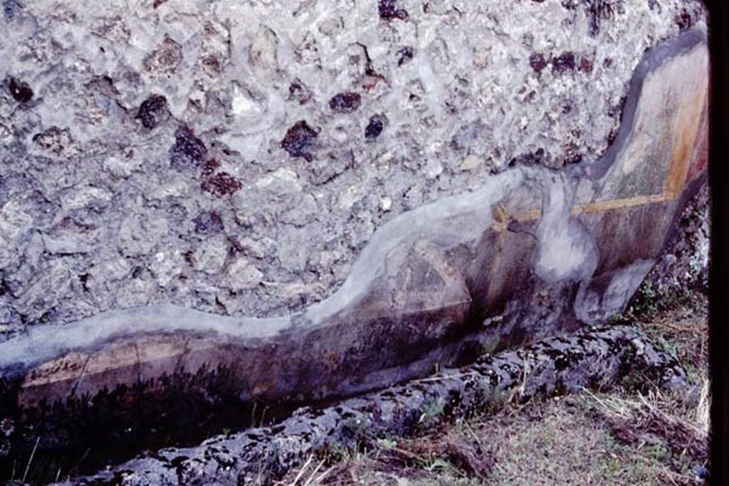 VI.7.23 Pompeii, 1983. Remains of painted garland and trellis from west end of south wall.   
Source: The Wilhelmina and Stanley A. Jashemski archive in the University of Maryland Library, Special Collections (See collection page) and made available under the Creative Commons Attribution-Non Commercial License v.4. See Licence and use details. J80f0553
