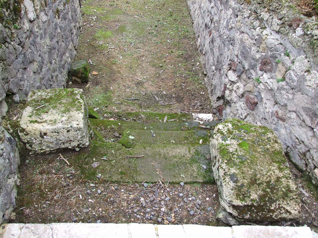 VI.7.23 Pompeii. December 2006. Steps down into garden.