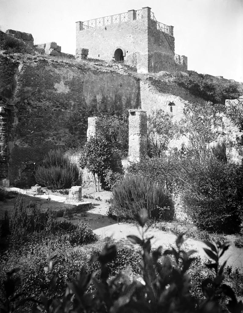 VI.7.23 Pompeii. W.1184. Looking north-east across garden towards Tower XI.
Photo by Tatiana Warscher. Photo © Deutsches Archäologisches Institut, Abteilung Rom, Arkiv.
