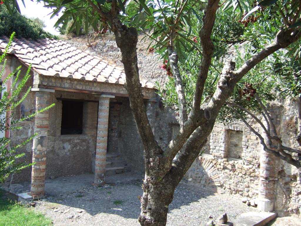 VI.7.23 Pompeii. September 2005. Site of summer triclinium with steps up to cubiculum decorated with mythology of Apollo.
According to E. Winsor Leach, on the north, south and east walls of the cubiculum are a series of paintings identifiable as events in the story of Marsyas.  
3 phases of action on the north wall include Athena’s short-lived essay at flute playing and Marsyas performing before some of the Muses. 
On the south wall are figures of Apollo and Olympus separated at the 2 ends of the couch. Finally, we see Marsyas bound to a tree. 
The figures are framed within niches that seem to isolate their roles as participants in the drama.
See Leach, E. Winsor, 2004. The Social Life of Painting in Ancient Rome and on the Bay of Naples. Cambridge UK: Cambridge UP, p. 121.
