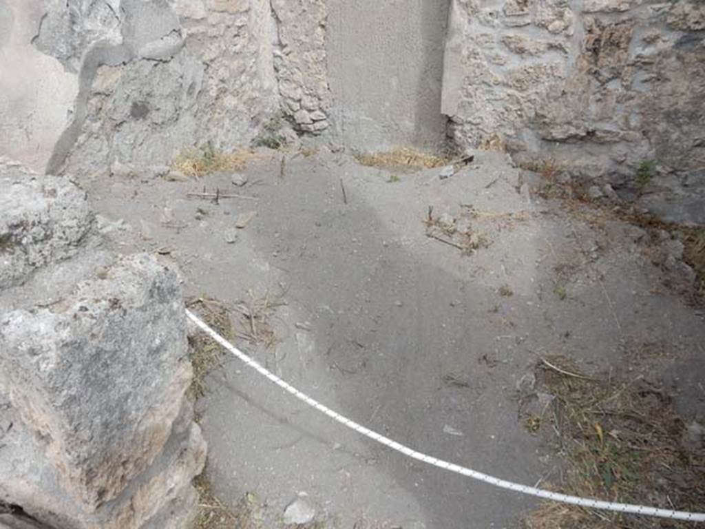 VI.8.22 Pompeii. May 2017. Room 16, area of flooring. Photo courtesy of Buzz Ferebee.