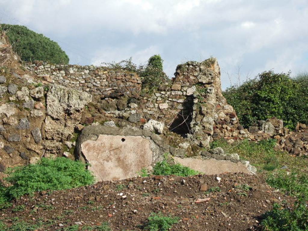 VI.9.1 Pompeii. December 2005. Remains of buried wall plaster on east wall of atrium, on the north side of doorway into room 11.