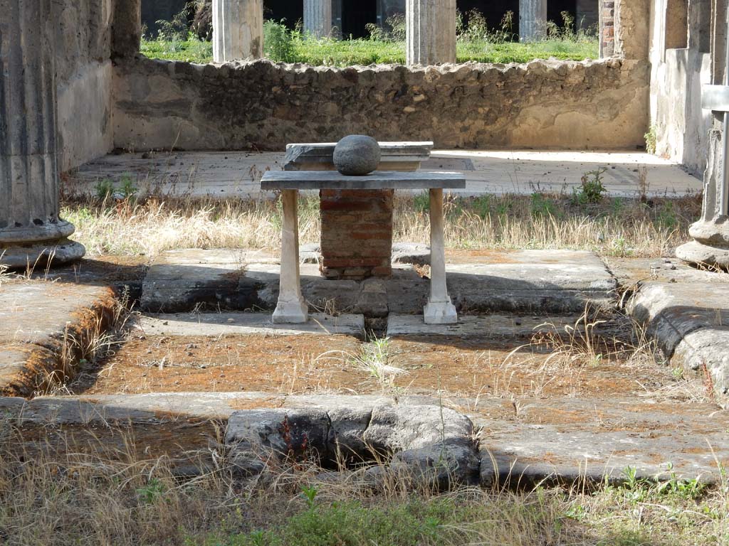 VI.11.10 Pompeii. June 2019. Looking north from entrance towards impluvium in atrium, and across to tablinum.  
Photo courtesy of Buzz Ferebee.

