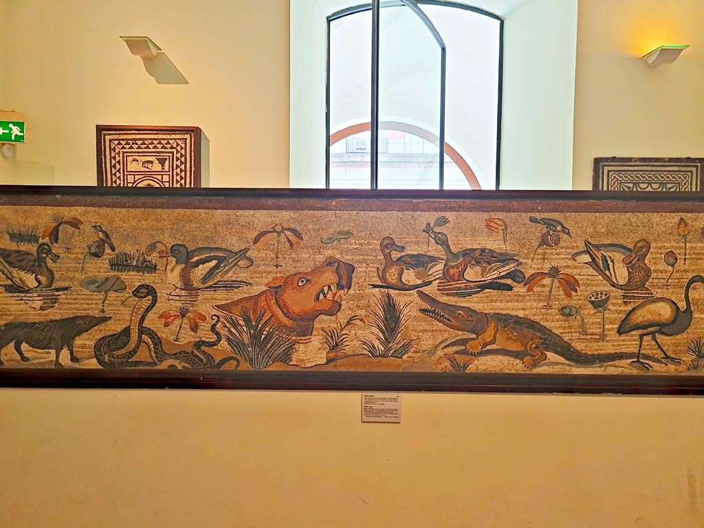 VI.12.2 Pompeii. September 2024. Mosaic of hippopotamus, crocodile, Ibis and other creatures of the Nile.
This threshold was found at the open front of the broad exedra (37) between the columns in front of the Alexander mosaic, on 24th October 1831.
See Mau, A., 1907, translated by Kelsey F. W. Pompeii: Its Life and Art. New York: Macmillan. (p. 293).
Now in Naples Archaeological Museum. Inventory number 9990. Photo courtesy of Giuseppe Ciaramella.
See PAH II, 250.
See Real Museo Borbonico VIII, Ta XLV (1832).