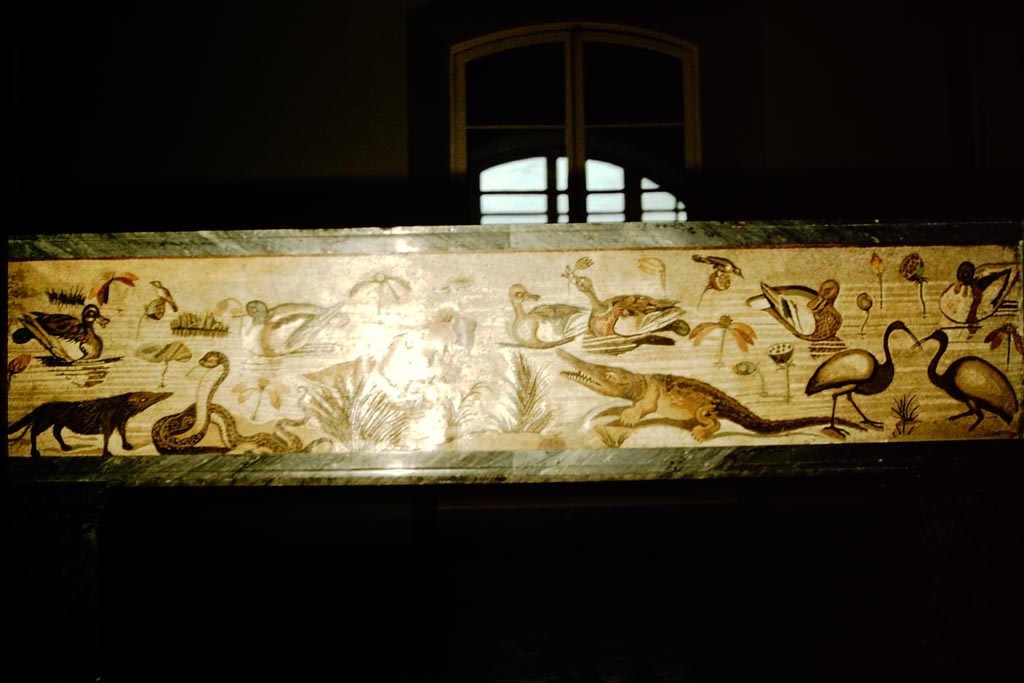 VI.12.2 Pompeii. 1957. Mosaic of hippopotamus, crocodile, Ibis and other creatures of the Nile. Photo by Stanley A. Jashemski.
Source: The Wilhelmina and Stanley A. Jashemski archive in the University of Maryland Library, Special Collections (See collection page) and made available under the Creative Commons Attribution-Non-Commercial License v.4. See Licence and use details.
J57f0528