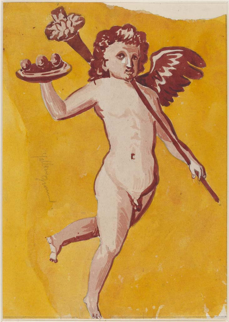 VI.14.20 Pompeii. Undated painting of cupid by Sydney Vacher. 
(Note: this may or may not have come from the same room 13, as the above one, where the walls are very faded)
Photo  Victoria and Albert Museum, inventory number E.4415-1910. 


Photo  Victoria and Albert Museum, inventory number E.4415-1910. 
