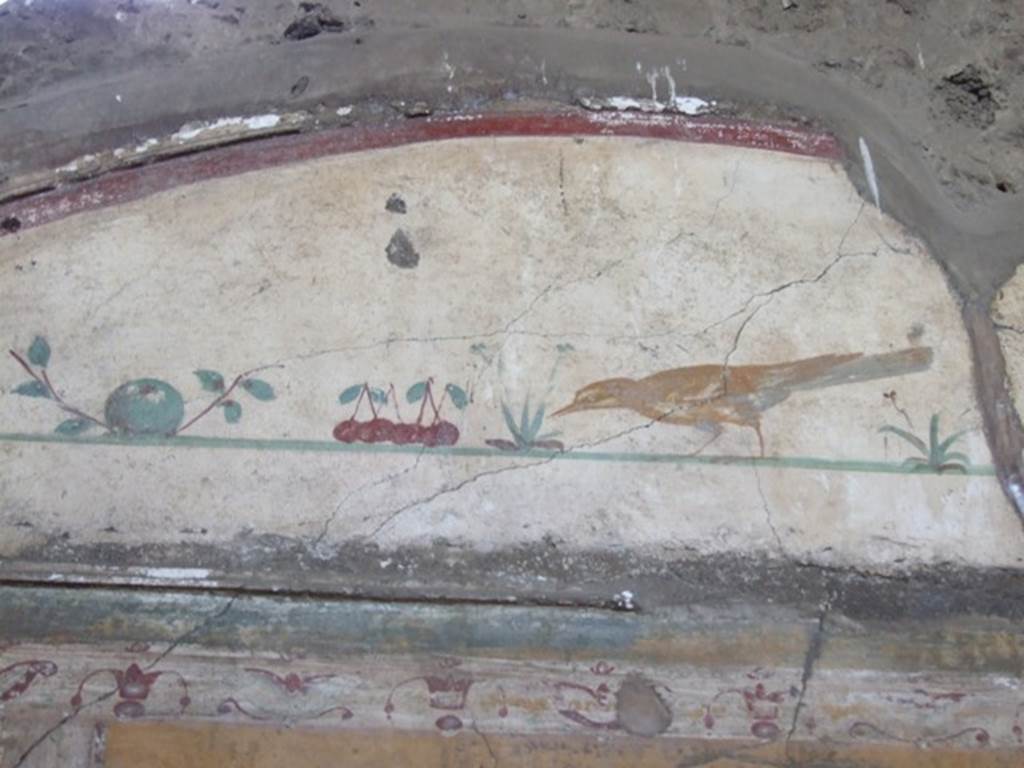 VI.14.20 Pompeii. March 2009. Room 13, wall painting of bird with fruit on north wall.